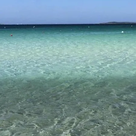 Casa de Férias Exclusive Farm